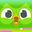 Duolingo