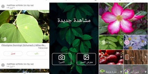 PlantNet Plant Identification 3 20 6 Download for Android free PlantNet Plant Identification 3 20 6 Download for Android free
